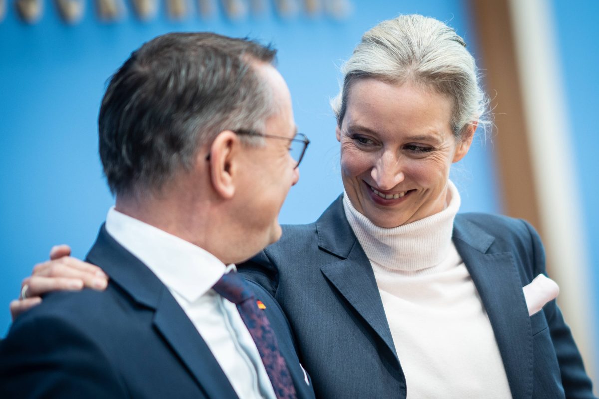 AfD und Linke erreichen bei Bundestagswahl Sperrminorität.