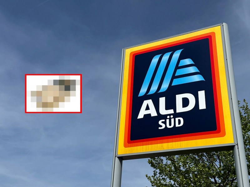 Aldi Rückruf: Listerien in Käse gefunden – du solltest ihn auf keinen Fall essen