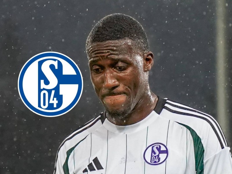 FC Schalke 04: Bryan Lasme lÃ¤sst Fans fassungslos zurÃ¼ck â€“ â€žMacht mich wahnsinnigâ€œ