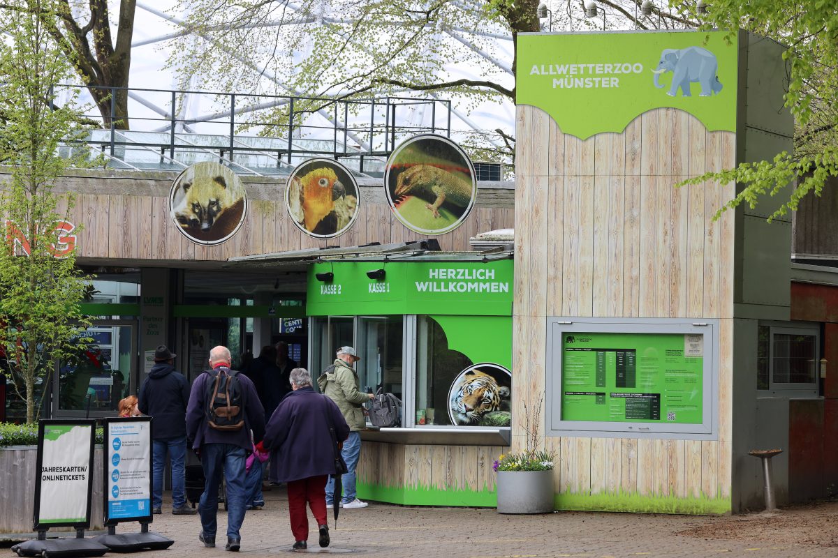 Ein Zoo in NRW hat eine Botschaft zu verkünden. Es geht um Ameisenbärin Milo und ihren Nachwuchs.