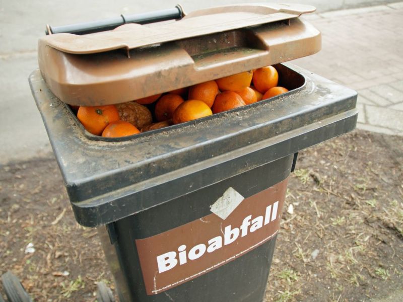 BuÃŸgeld wegen BiomÃ¼ll! Dieser Fehler kann dich einiges kosten