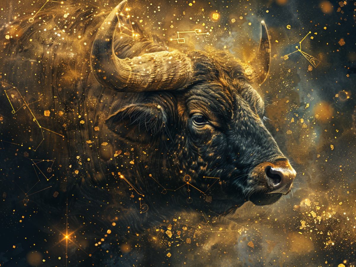 Stier im braunen Universum
