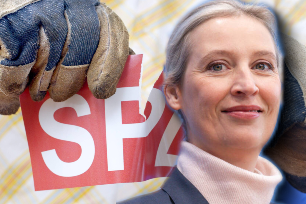 AfD hängt andere Parteien ab "Man braucht Arbeiter" DerWesten.de