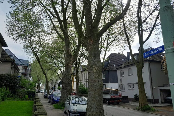 Bochum