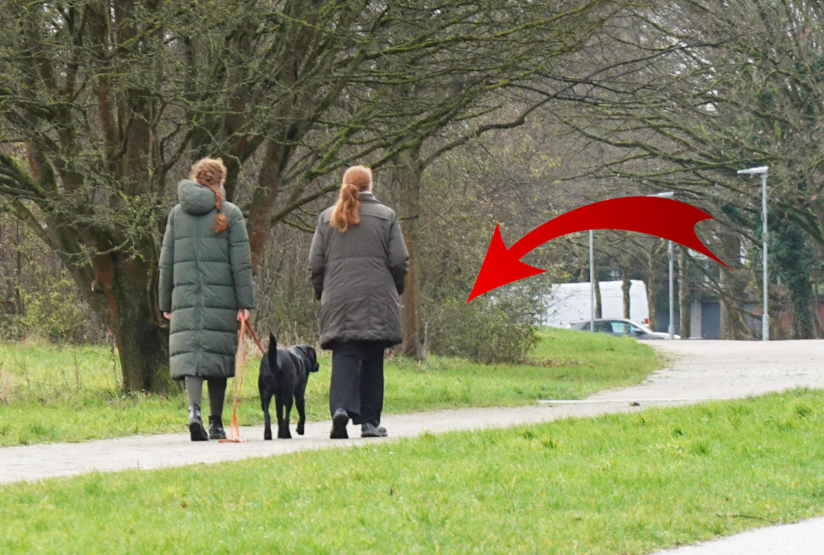 Bochum: Immer wieder Attacken gegen Hunde – „Asozialer Abschaum“