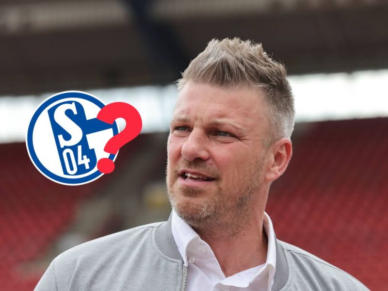 Darf sich Schalke 04 auf Kwasniok freuen? Paderborn-Profi packt über den Trainer-Kandidaten aus