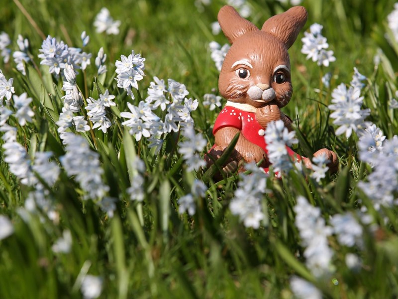 Wetter in NRW: Jetzt ist es amtlich! „Achtung, Ostern kippt“