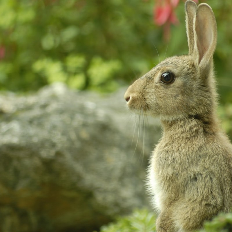 Horoskop: Ausgerechnet jetzt! Ein Sternzeichen muss an Ostern vorsichtig sein