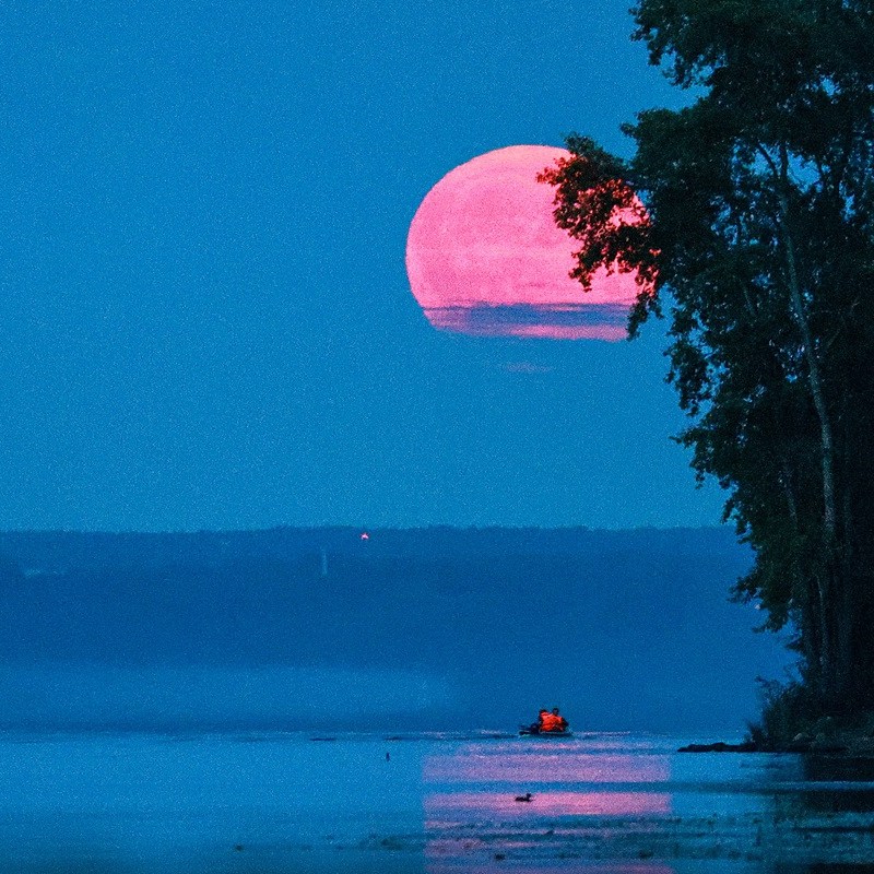 Horoskop: Pink Moon im April – diesen Sternzeichen erteilt er eine wichtige Lektion