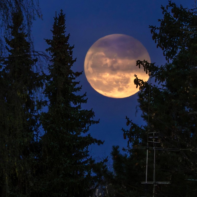Horoskop: Vorsicht zu Ostern! Dieses eine Sternzeichen muss wachsam sein