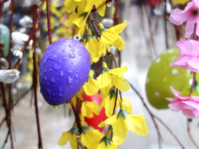 Unwetter-Warnung an Ostern in NRW ++ Eiersuche fällt ins Wasser!