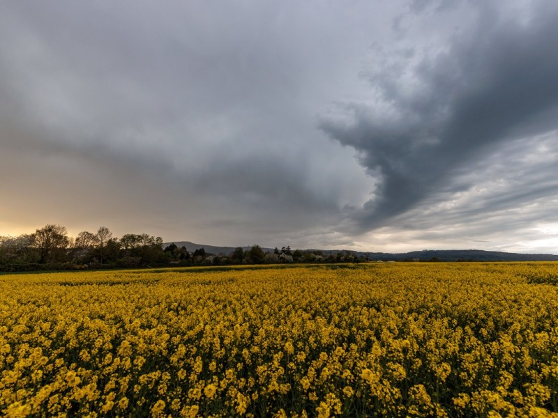 Wetter in NRW: „Störung“ sorgt für Achterbahnfahrt – fällt das April-Ende ins Wasser?