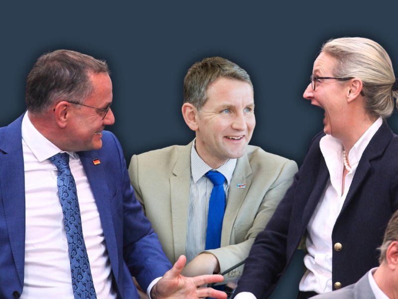 Hass durch Lachen: AfD-Methode im Bundestag enthüllt