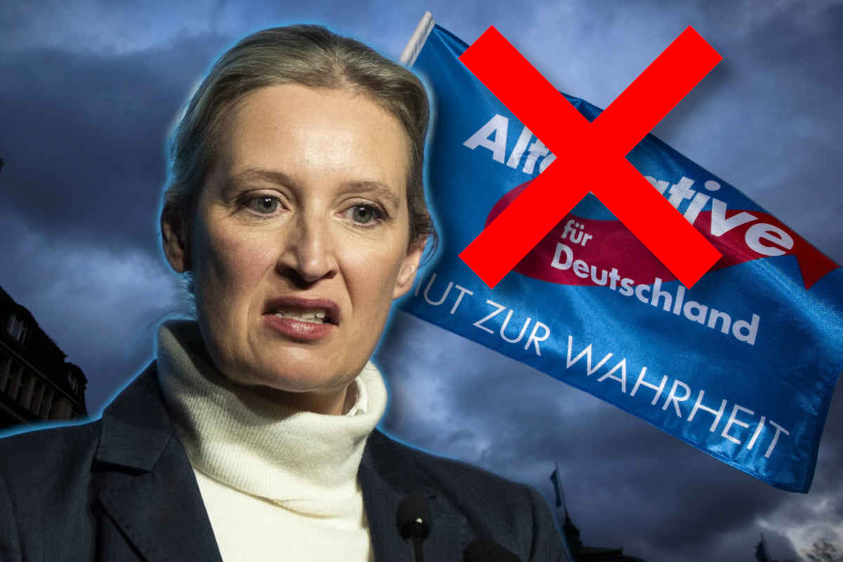 Bei Parteiverbot: So würden AfD-Anhänger dann wählen