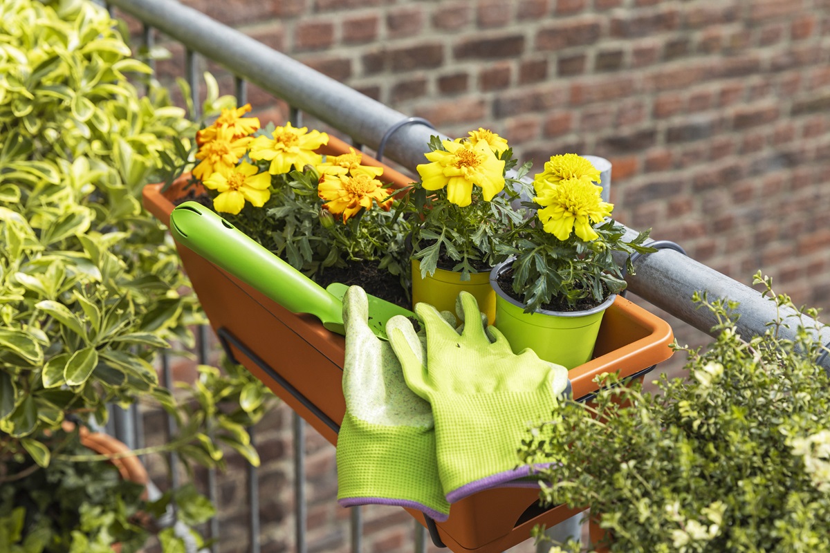 Bußgeld-Hammer: Wer beim Blumenpflanzen nicht aufpasst, muss blechen