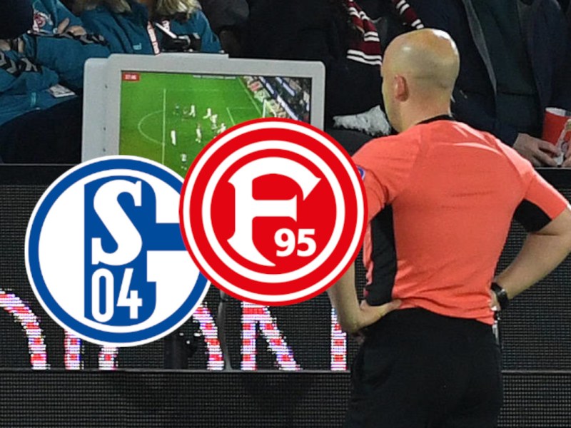 Düsseldorf – Schalke: DFB lässt Katze aus dem Sack – und sorgt bei den S04-Fans für Schnappatmung
