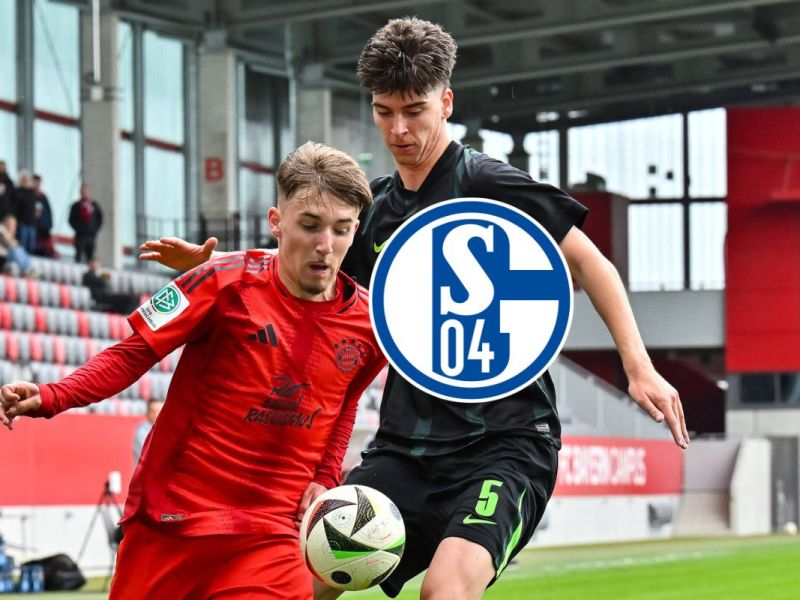 FC Schalke 04: Juwel-Coup! Königsblau bedient sich bei einem Bundesligisten