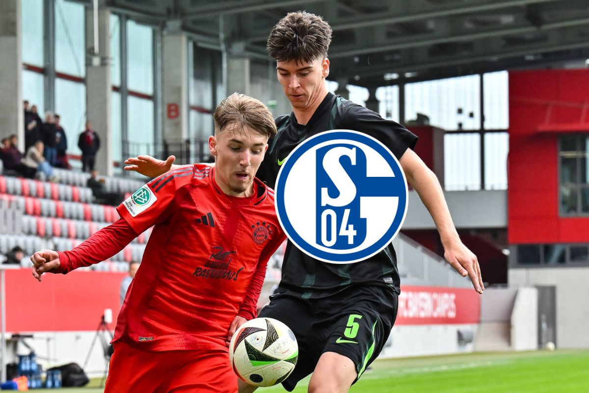 FC Schalke 04: Juwel-Coup! Königsblau bedient sich bei einem Bundesligisten