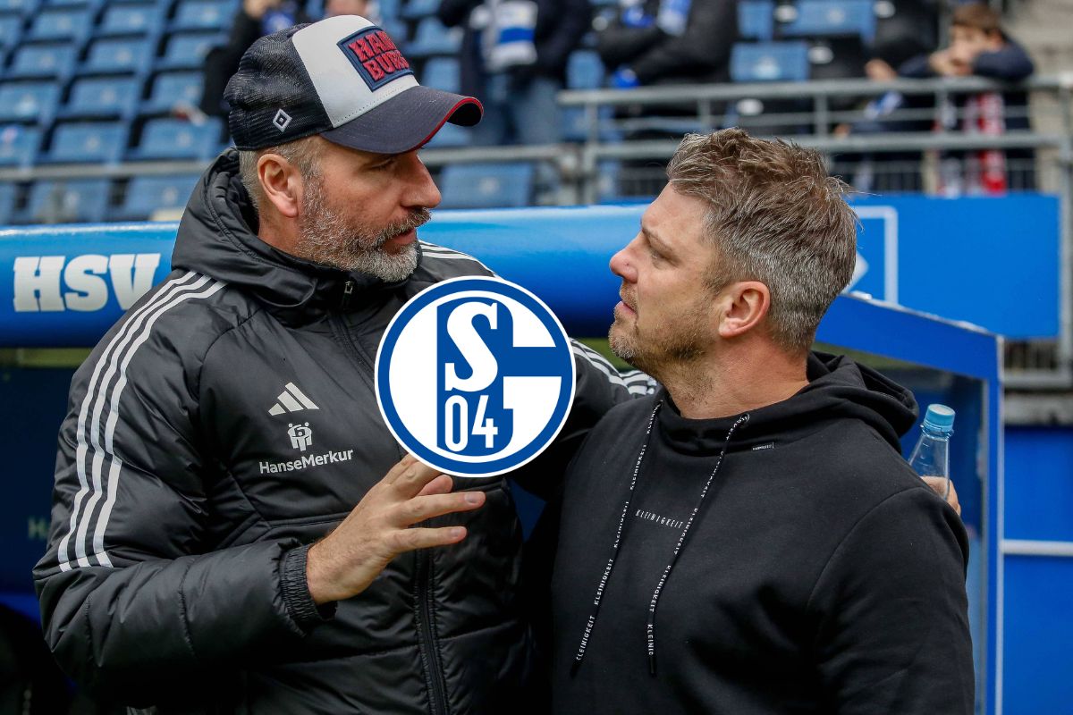 FC Schalke 04: Trainer-Hammer? ER flirtet öffentlich mit S04