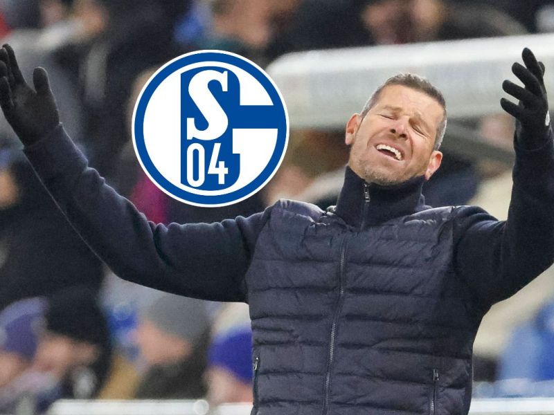 Schalke 04: Trainer wird mit S04 in Verbindung gebracht – seine Reaktion spricht Bände