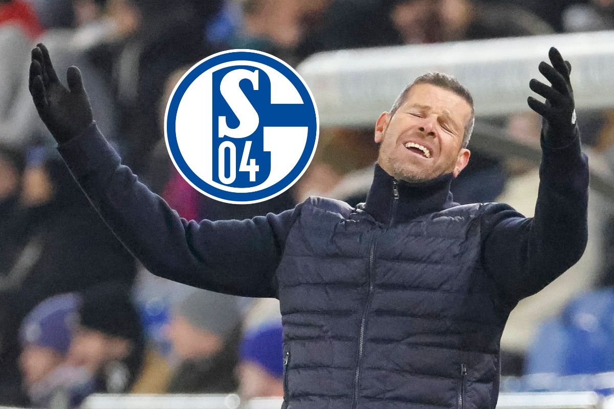 Schalke 04: Trainer wird mit S04 in Verbindung gebracht – seine Reaktion spricht Bände