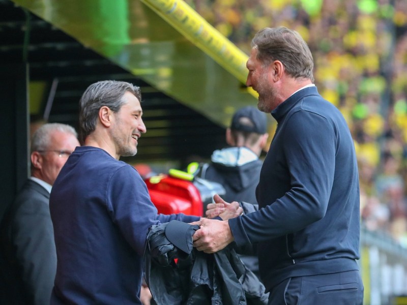 Borussia Dortmund sorgt für nächsten Trainer-Knall! SEINE Tage sind gezählt