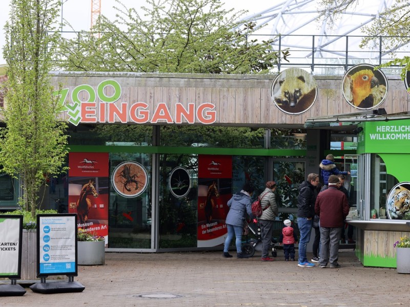 Zoo in NRW: Video geht um – Streit unter Tieren konnte nicht verhindert werden