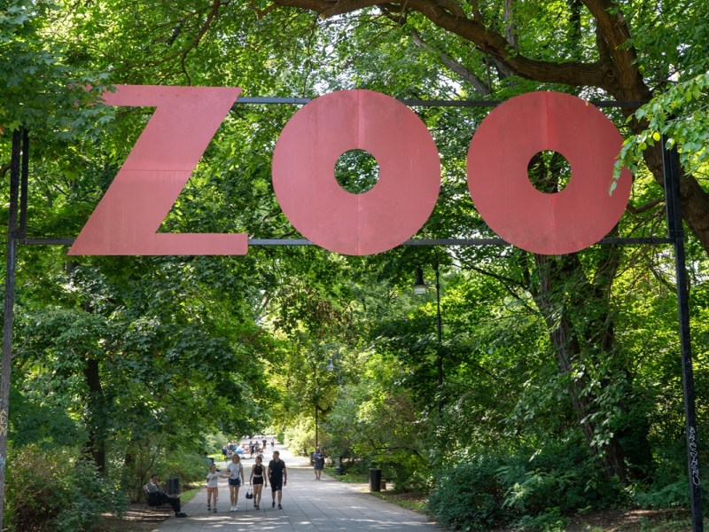 Zoo in NRW kommt nicht zur Ruhe! Seit März passierte es 12 Mal