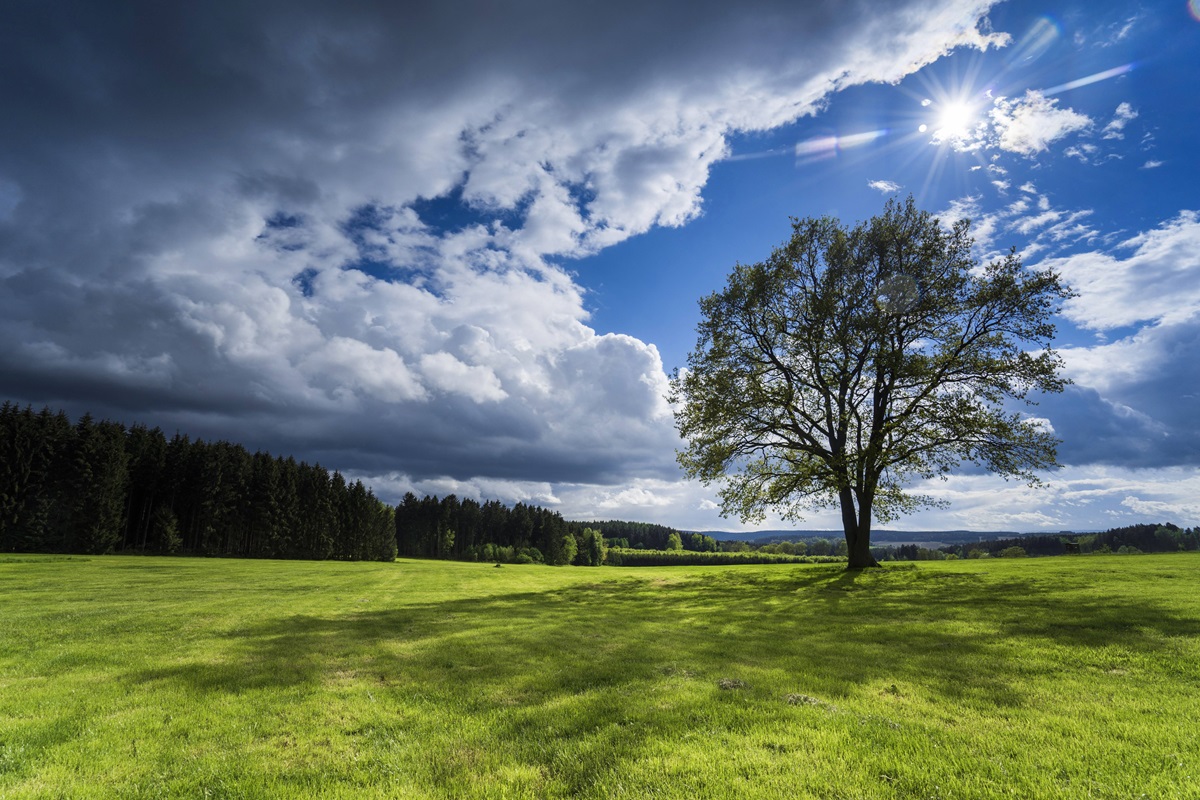 Wetter in NRW: Experte nimmt jede Hoffnung – „Worst-Case-Szenario“