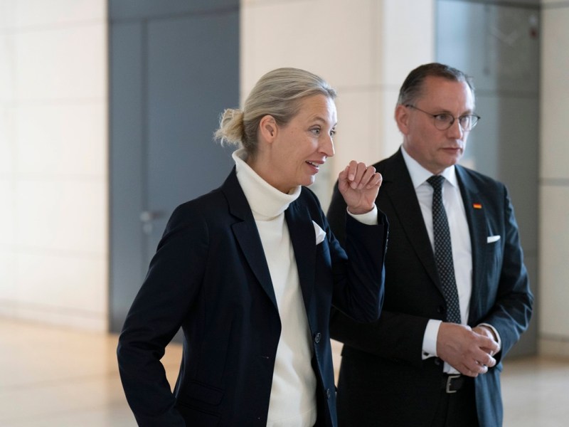 AfD-Gutachten: Brisante Enthüllungen – auch Weidel kommt vor