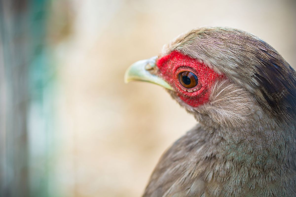 Zoo Dortmund zeigt kleine Tierbabys – die nächste Nachricht erschüttert
