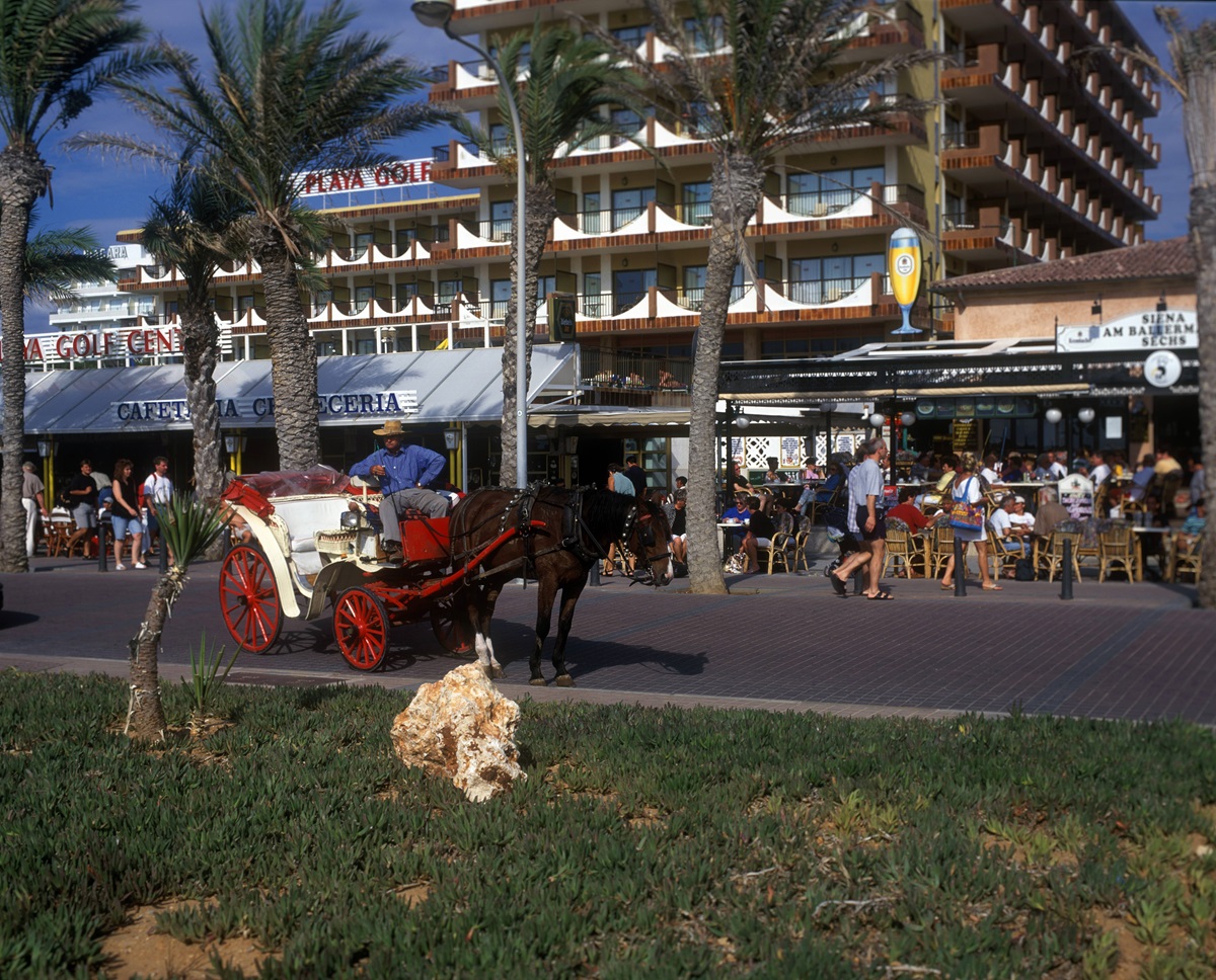 Urlaub auf Mallorca: Aufregung um Touristen-Magnet – „Gehört schon lange verboten!“
