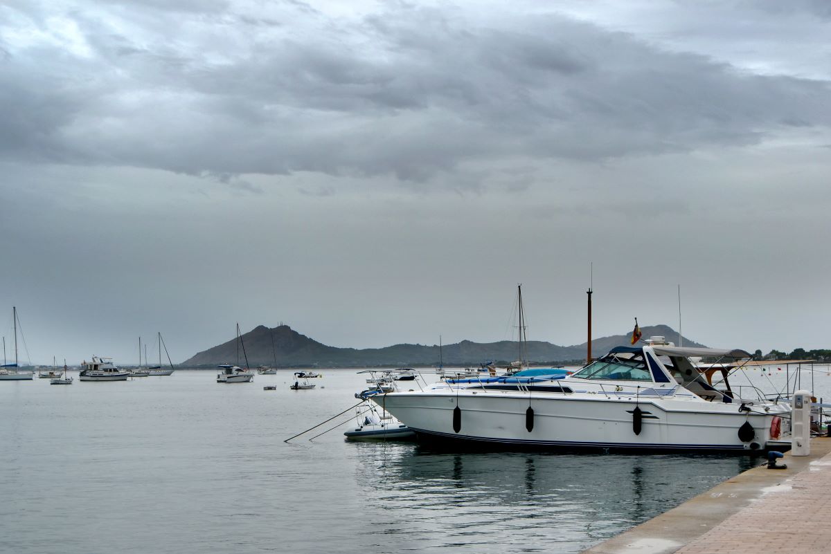 Trauriger Fund auf Mallorca – schwer verletztes Tier am Hafen entdeckt
