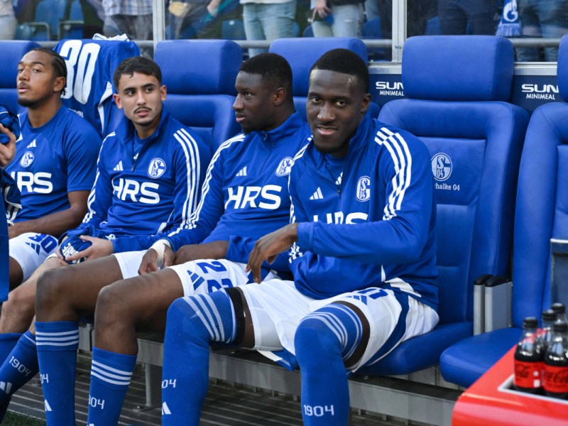 FC Schalke 04: Problem-Profi vor Rückkehr! Königsblau vor Dilemma