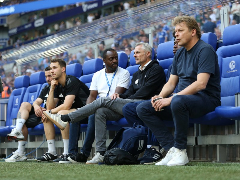 Schalke 04: Kurz nach van-Wonderen-Aus – Königsblau verkündet nächsten Trainer-Hammer