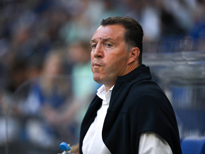 FC Schalke 04: Wilmots-Hammer! Diese Nachricht kommt aus dem Nichts