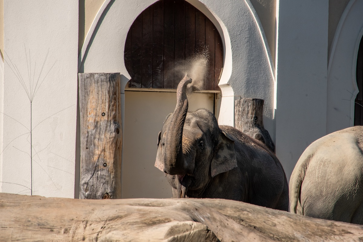 Tierpark München: Aufruhr in TV-Sendung – „Gab es vorher auch noch nie“
