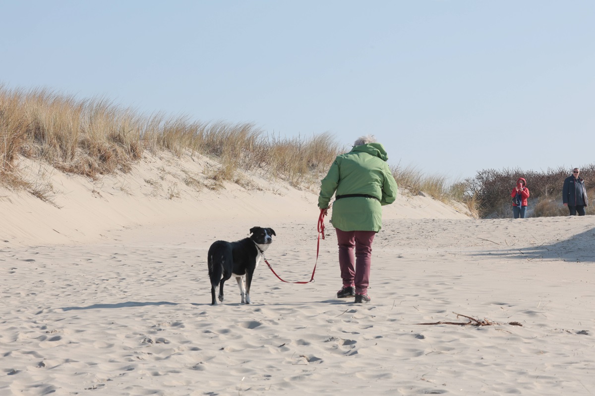 Urlaub an der Nordsee: Klare Worte auf Sylt! Reisende mit Hunden hören genau hin