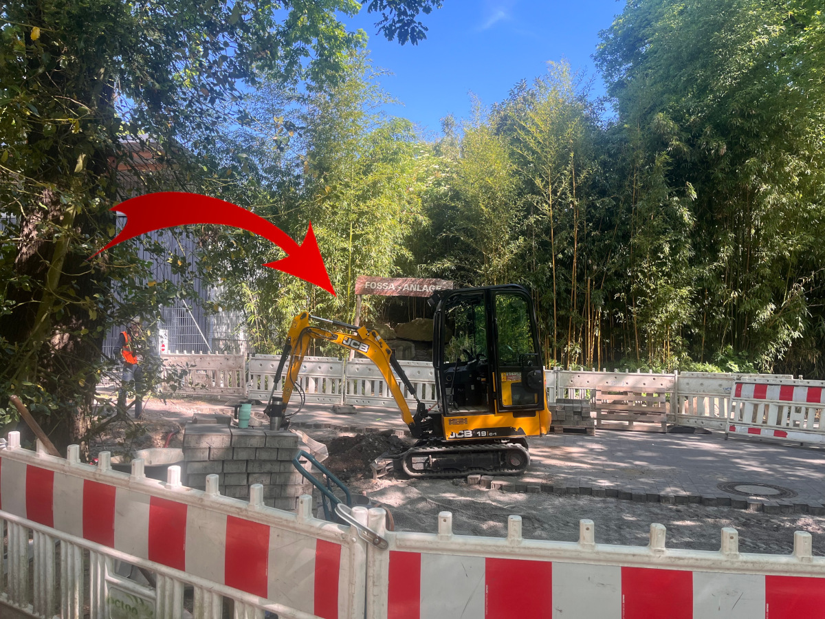 Zoo Duisburg: Besucher schauen ganz genau hin – Neuheit lässt alle staunen