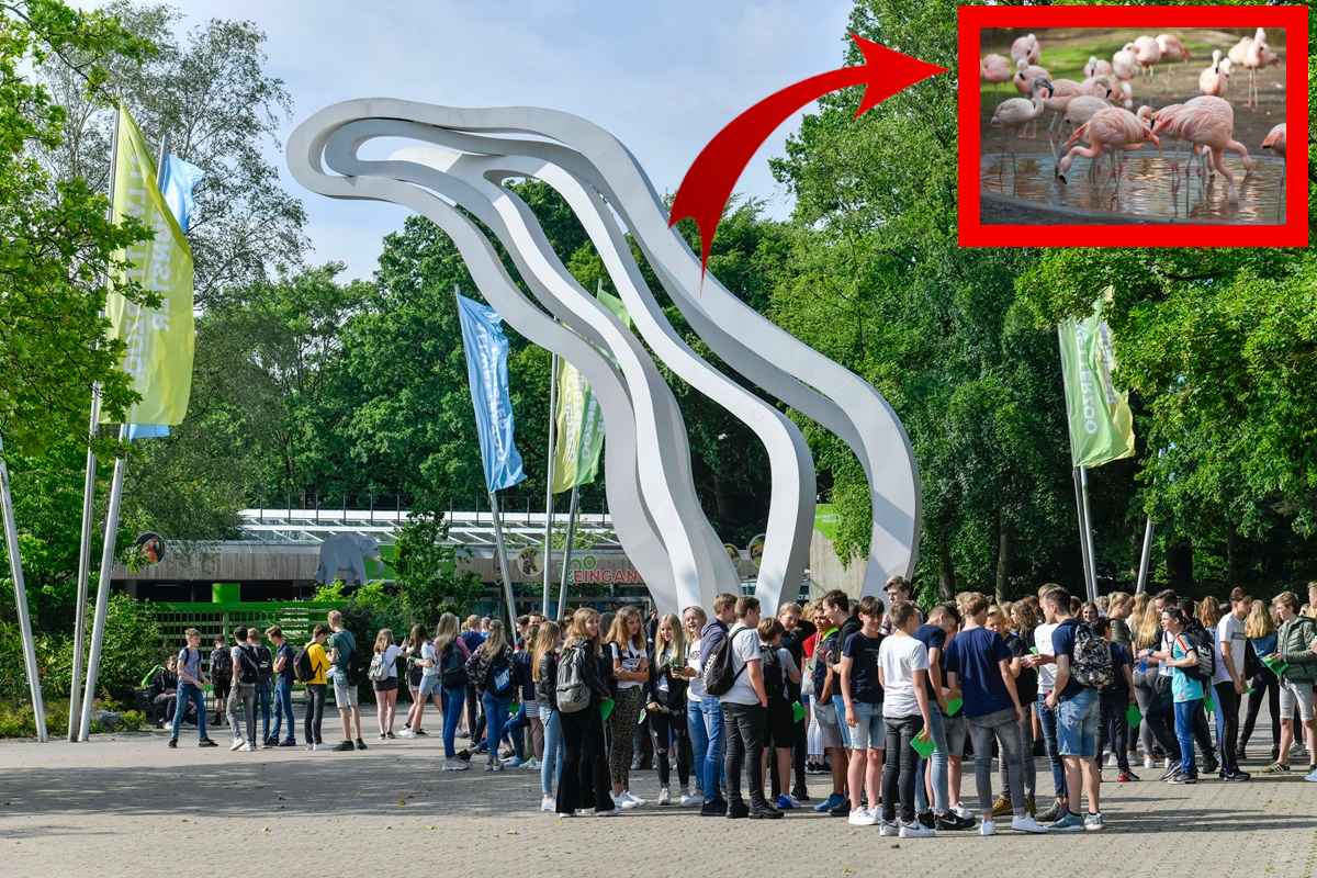 Zoo in NRW: Mitarbeiterin filmt im Gehege – plötzlich passiert es! „Hab ich noch nie hier gesehen!“