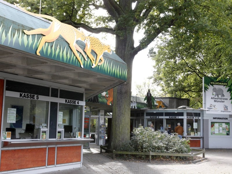 Zoo in NRW: Neue Tierbabys wuseln durchs Gehege – zwei Monate später geht die Nachricht um