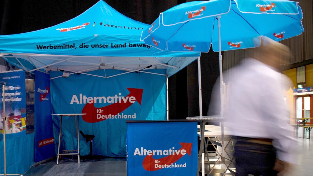 Rechts außen erstarkt – AfD im Aufwind