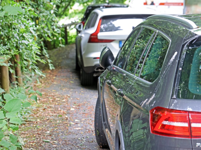 Duisburg: Frau hört Geräusch aus geparktem Auto – was sie findet, bricht ihr das Herz