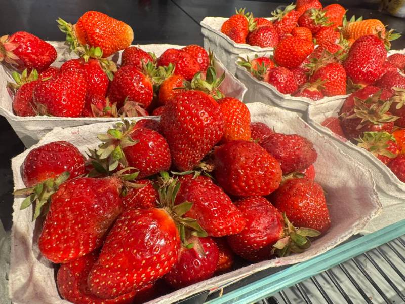 Aldi, Edeka & Co.: Wer gerne Erdbeeren kauft, sollte jetzt besonders gut zuhören