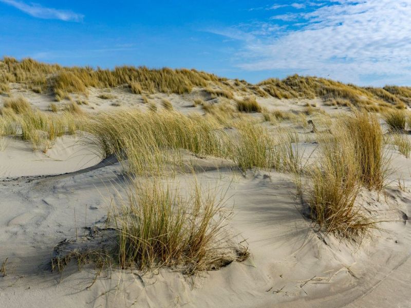 Urlaub an der Nordsee: Beliebte Insel nimmt jetzt DIESE Touristen ins Visier
