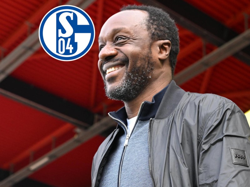 FC Schalke 04: Transfer-Hammer perfekt! Klub-Verkündung sorgt für Jubel