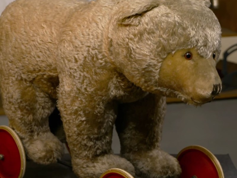 Steiff-Bär sprengt „Bares für Rares“-Expertise: „Jetzt ist es auch egal“