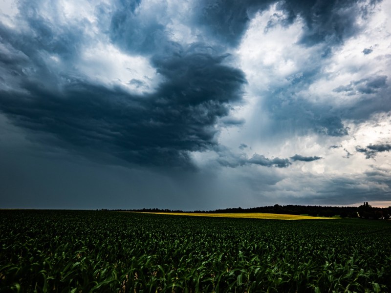 Wetter-Peitsche in NRW – jetzt wird’s richtig unangenehm