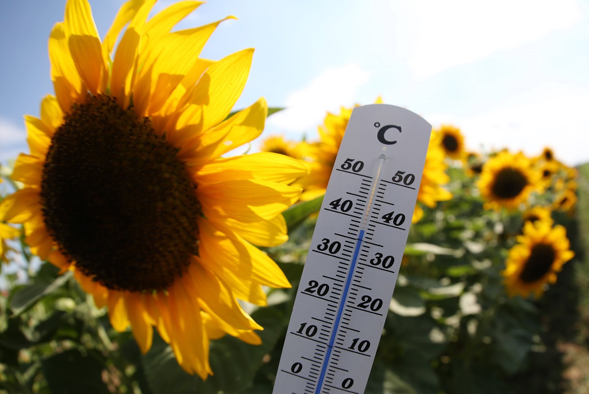 Wetter in NRW: Nächste Hitzewelle im Anmarsch! „Ziemlich unangenehm“