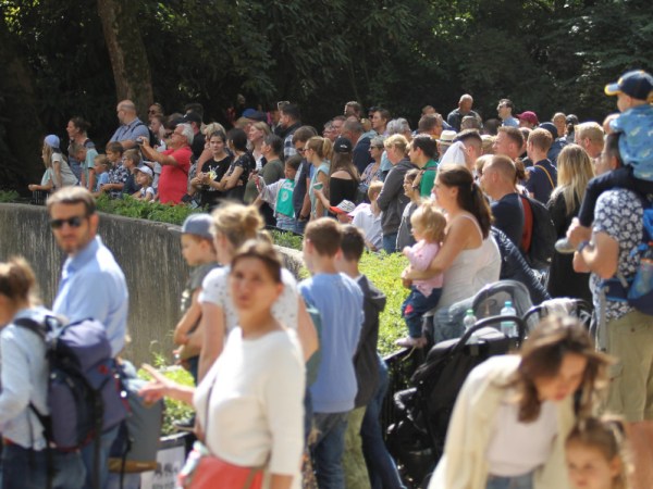 Zoo in NRW macht Bilder öffentlich: Überwachungskamera hat alles aufgezeichnet!